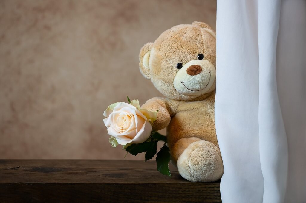 rose, teddy bear, teddy-4788688.jpg